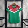 Fluminense 2023/24 entrenamiento Mujers camiseta