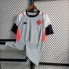 Vasco Da Gama 2023/24 Pre-Match entrenamiento camiseta Grey