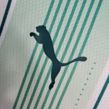 Palmeiras 2023/24 visitante manga largas camiseta - Image 4