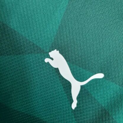 Palmeiras 2023/24 local manga largas camiseta - Image 7