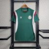 Palmeiras 2023/24 Pre-Match entrenamiento camiseta Green - Image 2
