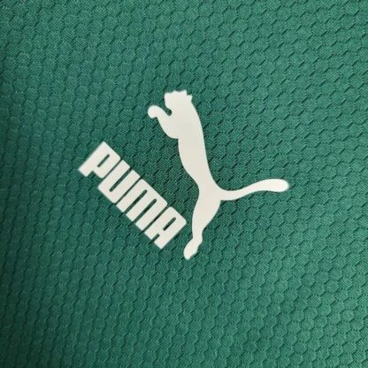 Palmeiras 2023/24 Pre-Match entrenamiento camiseta Green - Image 5