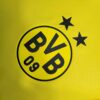 Borussia Dortmund 2023/24 local camiseta versión jugador - Image 6