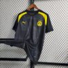 Borussia Dortmund 2023/24 Pre-Match entrenamiento camiseta