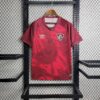 Fluminense 2023/24 Co-Branding Edition camiseta - Image 2