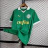 Palmeiras 2024/25 local camiseta