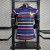 France 2024/25 Pre-Match entrenamiento camiseta versión jugador