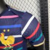 France 2024/25 Pre-Match entrenamiento camiseta versión jugador - Image 5