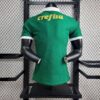Palmeiras 2024/25 local camiseta versión jugador - Image 10