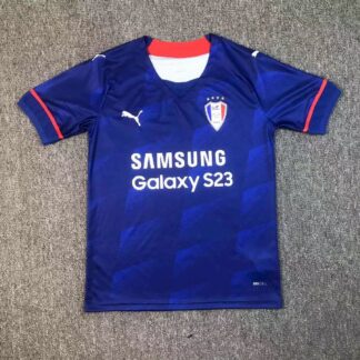 Suwon Samsung Bluewings 2023/24 local camiseta