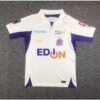 Sanfrecce Hiroshima 2023/24 visitante camiseta