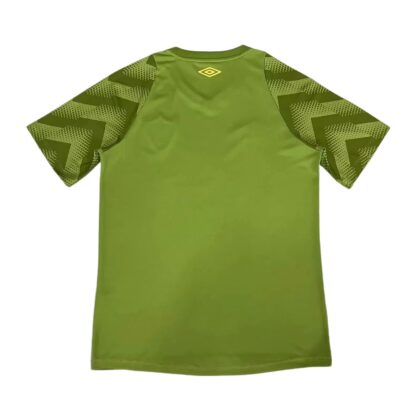 Fluminense 2024/25 Pre-Match camiseta - Image 2