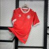 Denmark 2024/25 Euro local camiseta