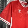Denmark 2024/25 Euro local camiseta - Image 5