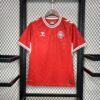 Denmark 2024/25 Euro local camiseta - Image 3