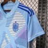 Spain 2024/25 Euro portero uniform camiseta - Image 4
