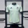 Mexico 2024/25 visitante camiseta versión jugador