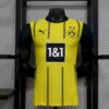 Borussia Dortmund 2023/24 local camiseta versión jugador