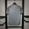 Santos 2024/25 Pre-match entrenamiento camiseta - Image 2