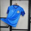 Palmeiras 2024/25 Blue portero camiseta