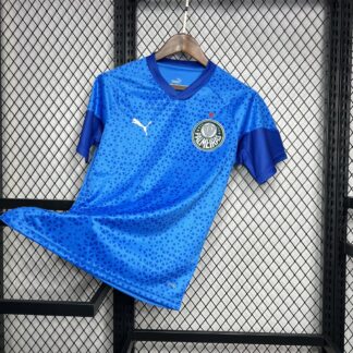 Palmeiras 2024/25 Blue portero camiseta