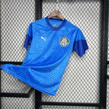 Palmeiras 2024/25 Blue portero camiseta