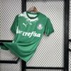 Palmeiras 2024/25 Special Edition Green and white camiseta