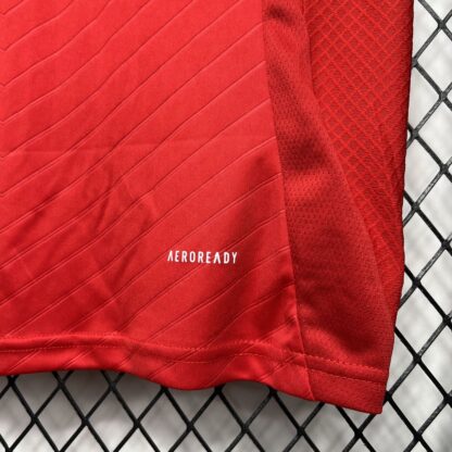 Benfica 2024/25 local camiseta - Image 7