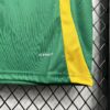 Jamaica 2024/25 Pre-match entrenamiento camiseta - Image 4