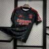 Benfica 2024/25 visitante camiseta