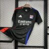 Olympique Lyonnais 2024/25 visitante camiseta