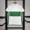 Elche CF 2024/25 local camiseta - Image 2
