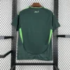 Algeria 2024/25 visitante camiseta - Image 2