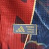 Manchester United 2025/26 Special Edition camiseta versión jugador - Image 7