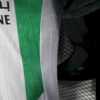 CD Palestino 2025/26 local camiseta versión jugador - Image 4