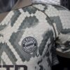 Bayern Munich 2025/26 Special Edition camiseta versión jugador - Image 5