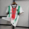 CD Palestino 2024/25 local camiseta