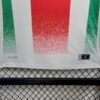CD Palestino 2024/25 local camiseta - Image 5