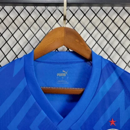 Palmeiras 2024/25 portero camiseta - Image 4