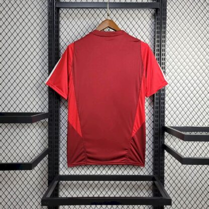 S.C Internacional 2024/25 Pre-Match camiseta - Image 2