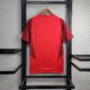 S.C Internacional 2024/25 Pre-Match camiseta - Image 2