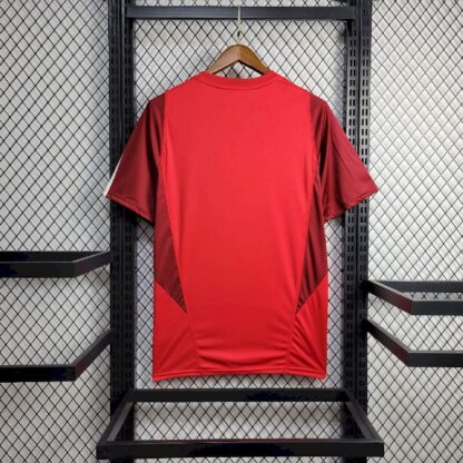 S.C Internacional 2024/25 Pre-Match camiseta - Image 2