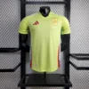 Spain 2024/25 visitante camiseta versión jugador