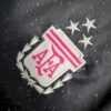 Argentina 2023/24 Commemorative camiseta - Image 6