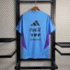 Argentina 2023/24 Pre-Match entrenamiento camiseta - Image 8