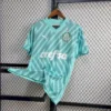 Palmeiras 2024/25 portero camiseta