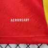 Spain 2024/25 Euro local camiseta - Image 10