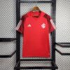 S.C Internacional 2024/25 Pre-Match camiseta - Image 3